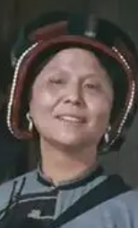 柳杰