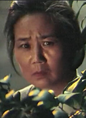 张秀华