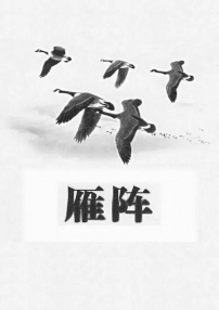 雁阵
