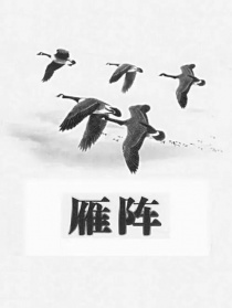 雁阵