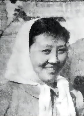 何子云
