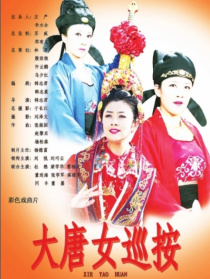 大唐女巡按