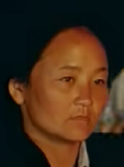高樹(shù)珍