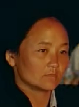 高樹珍