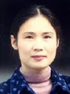 汤杨