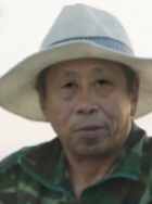 宿树合
