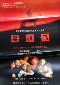 黑駿馬