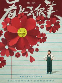 看上去很美