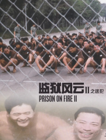 监狱风云II：逃犯