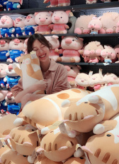 白鶴