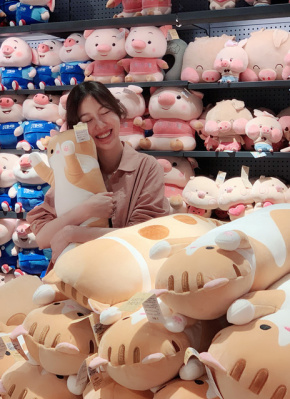 白鹤