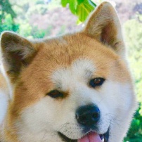 莱拉