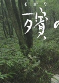 殡之森