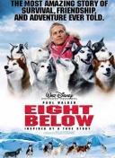 ng28官网app下载官方安装版