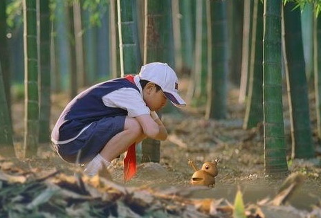 宝葫芦的秘密剧照