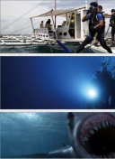 沪媒：莱昂纳多伤势未完全康复，刘若钒、李帅也有不同程度伤病