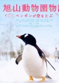 旭山动物园物语-企鹅在天空飞翔