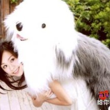 王心凌