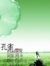 孔雀