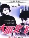 大雁北飞