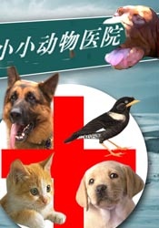小小动物医院