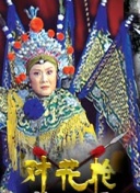 哈兰德与塞梅尼奥数据对比：前者进球和射门更多，后者助攻数占优