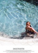 3胜1平！曼城近4次对阵多特保持不败，上次输球是2012年