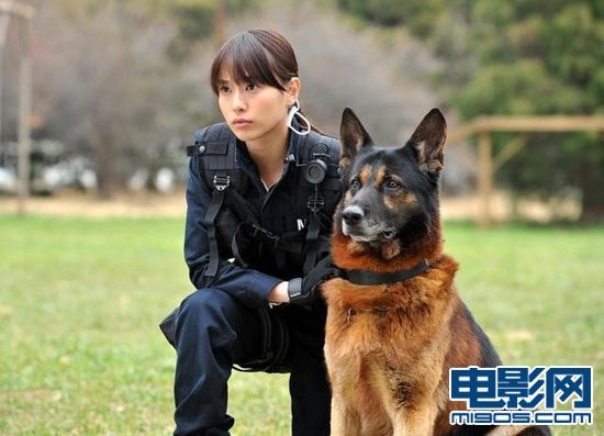 户田惠梨喷喷鼻新片热演警犬员 英姿豪宕健旺活络慢布施救