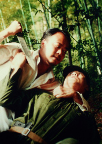 真相之极度追击