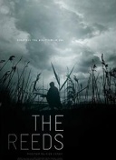 难倒英雄汉！亚马尔、马斯坦托诺、尼科均饱受耻骨炎症困扰