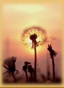 梅开二度！梅里诺当选阿森纳3