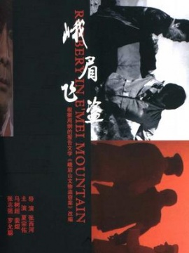 峨眉飞盗-高清完整版在线观看和下载-电影-华数