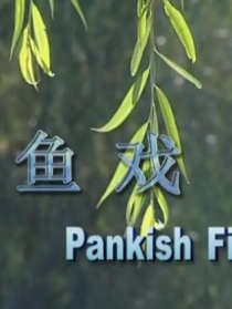 鱼戏