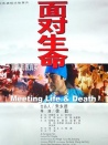 面對(duì)生命