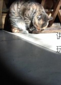 講玩