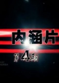 內(nèi)涵片