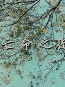 亡命之徒