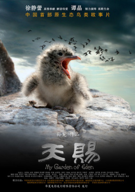 7月民航运输规模创历史新高 国际客运表现亮眼！折扣上线！这款刮刮卡产品火到全网