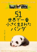 世界上最小的熊猫：51克