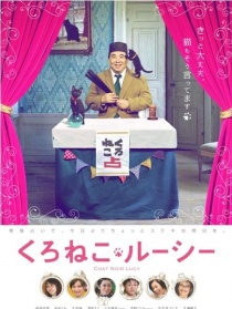 黑猫露西