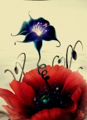 看着就冷🥶哈兰德赛后社媒晒最佳奖杯+冰水浴