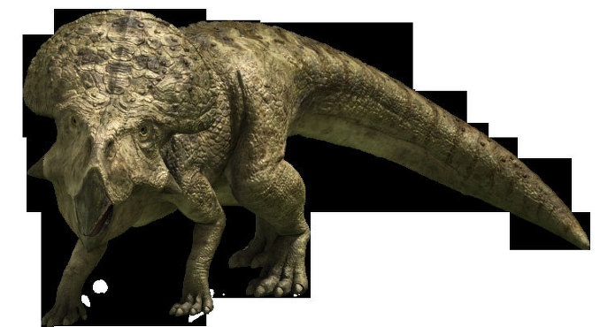 韩半岛的恐龙_韩半岛的恐龙国语_斑点韩半岛的恐龙 | 知客分享