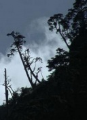 阿斯：皇马计划明年免签科纳特，球员将在欧冠交手中接受全面考察