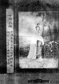 黛玉葬花