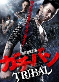 高校制霸 Tribal