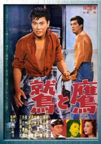 鹫与鹰