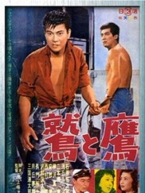 鹫与鹰