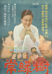 常綠樹