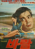 风