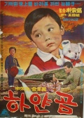 白色小熊